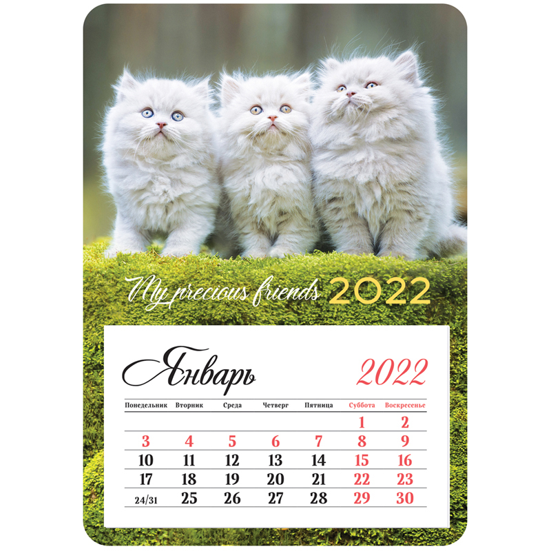 Календарь 2022г отрывной на магните 95х135мм склейка OfficeSpace Mono Best friends