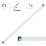 Лампа люминисцентная Philips TL-D 36W/33-640 36Вт G13 в виде трубки 120см хол белый