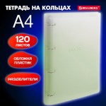 Тетрадь на кольцах БОЛЬШАЯ 305х235 мм А4, 120 л., пластик, с разделителями, BRAUBERG, Зеленый, 40462