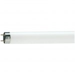Лампа люминесцентная Philips TL-D G13 36W/54-765 SLV (длинная)