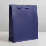 Пакет ламинированный «Синий», ML 23 х 27 х 8 см