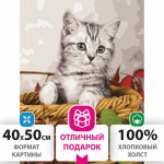 Картина по номерам 40х50см Остров Сокровищ Котёнок на подрамнике акриловые краски 3 кисти