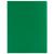 Папка 100 файлов Staff зеленая 0,7 мм/4 