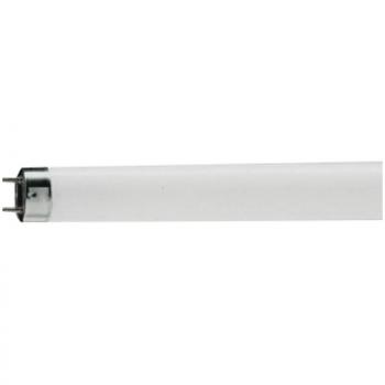 Лампа люминесцентная Philips TL-D G13 18W/33-640 SLV ,60 см (короткая)