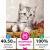 Картина по номерам 40х50см Остров Сокровищ Котёнок на подрамнике акриловые краски 3 кисти