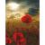 Картина по номерам 40х50 на подрамнике Маковое поле кисти краски Остров Сокровищ