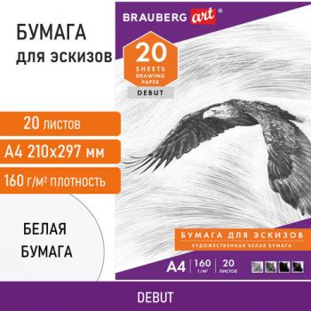 Папка для рисования А4 20л 160 г/м2 BRAUBERG 210х297 Орел 